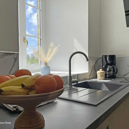 Maison Restauree Avec Charme A Domfront, Animaux Admis, Wifi, Pres Des Pistes Cyclables - Fr-1-497-201 * Saint-Gilles-des-Marais