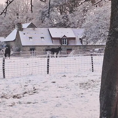 Maison Restauree Avec Charme A Domfront, Animaux Admis, Wifi, Pres Des Pistes Cyclables - Fr-1-497-201 * Saint-Gilles-des-Marais