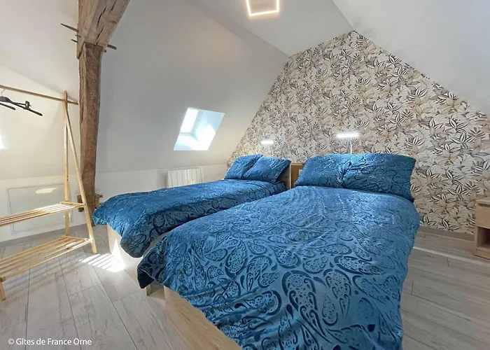 Maison Restauree Avec Charme A Domfront, Animaux Admis, Wifi, Pres Des Pistes Cyclables - Fr-1-497-201