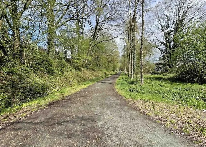 Maison Restauree Avec Charme A Domfront, Animaux Admis, Wifi, Pres Des Pistes Cyclables - Fr-1-497-201 *