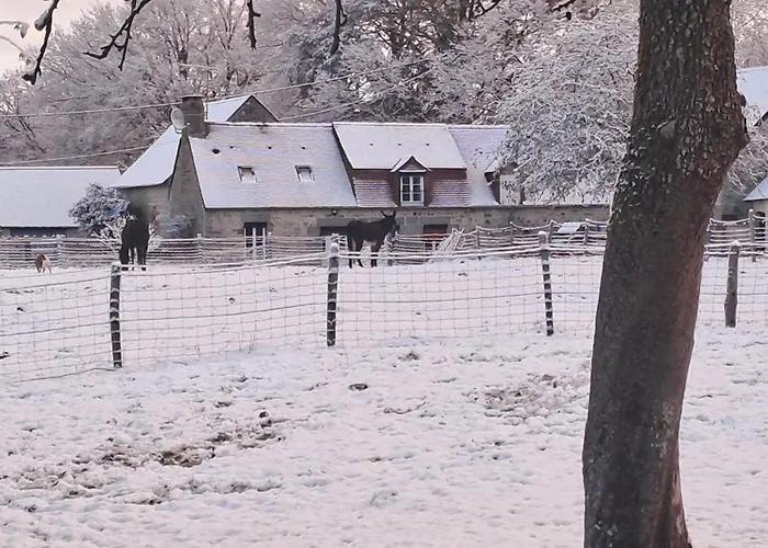 Maison Restauree Avec Charme A Domfront, Animaux Admis, Wifi, Pres Des Pistes Cyclables - Fr-1-497-201 * Saint-Gilles-des-Marais